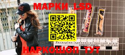 кокс Кингисепп
