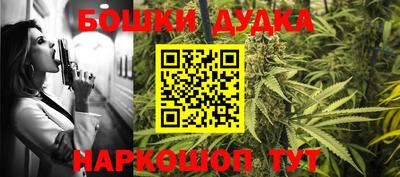 кокс Кингисепп