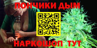 кокс Кингисепп