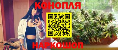 кокс Кингисепп