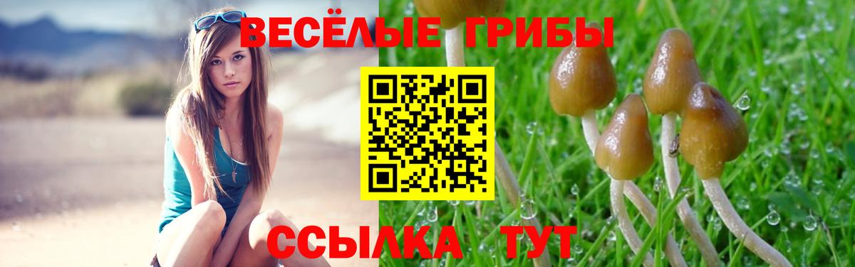 Лениногорск  Псилоцибиновые грибы прущие грибы  магазин  наркотиков  Вход с VPN 